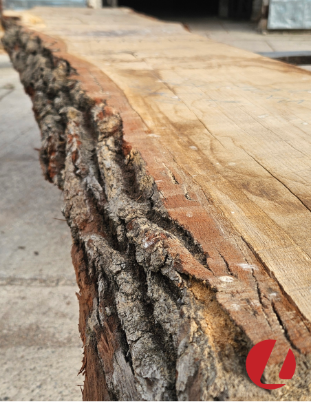 Kiln dried oak thick board (10x50x312 cm)