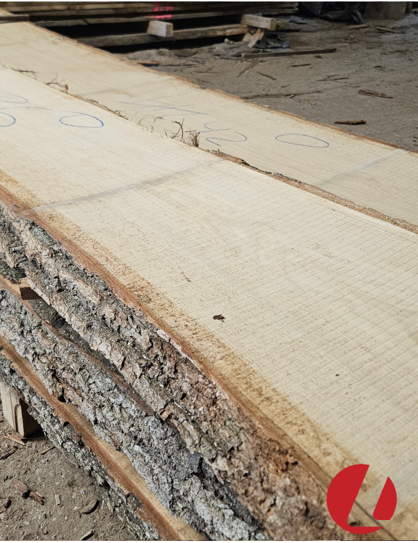 Kiln dried oak thick boards "0" (50 mm)