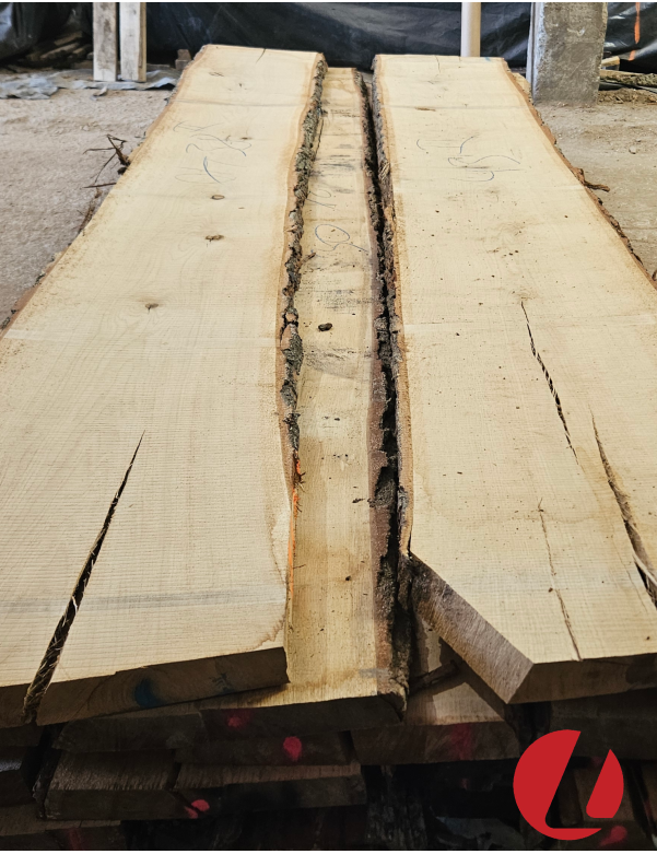 Džiovintos ąžuolo storlentės "II" (50 mm)