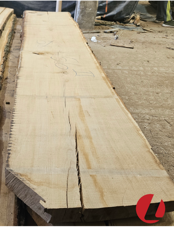 Džiovintos ąžuolo storlentės "II" (50 mm)