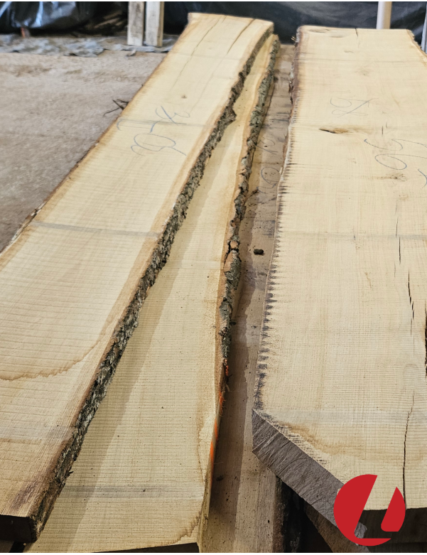 Džiovintos ąžuolo storlentės "II" (50 mm)