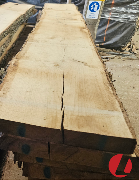 Džiovintos ąžuolo storlentės "II" (50 mm)