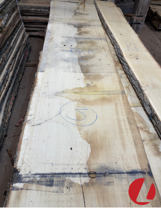 Oak table board (640 mm wide)