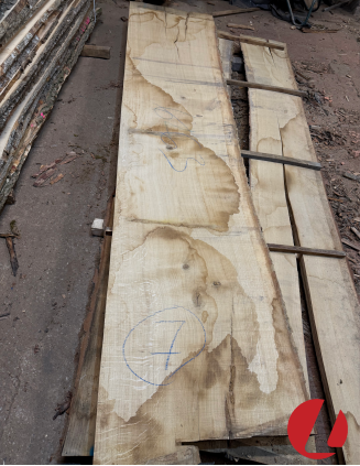 Oak table board (50x630x3000 mm))