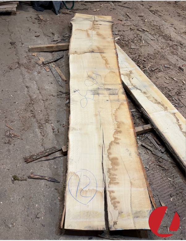 Ąžuolo storlentė (50x560x3000 mm)